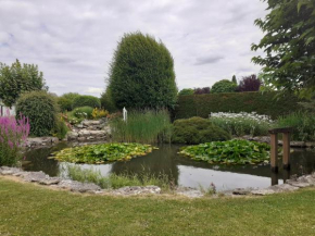 Le plan d'eau